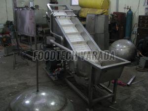 Fruits and Vegetable Washer Machine
