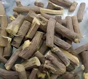 Brown Dried Giloy Stem