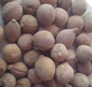 Natural Brown Baheda Fruit
