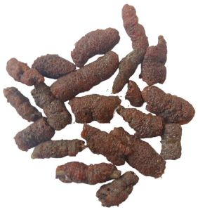 Natural Raw Stick Lac Resin