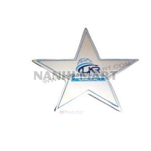 Star Metal Badges