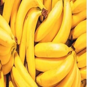 Farm Fresh Bananas