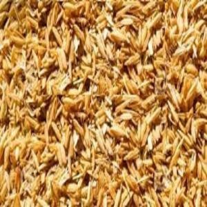 Raw Paddy Husk