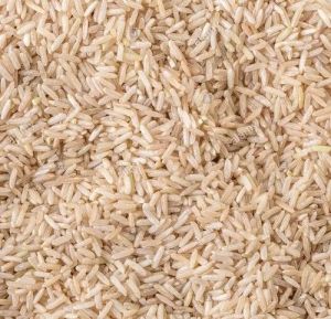 Unpolished Paddy Rice