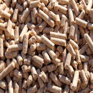 High Protein Cattle Feed