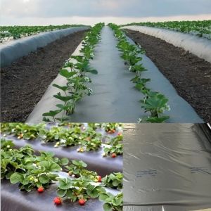 400 Mtr LDPE Mulching Paper