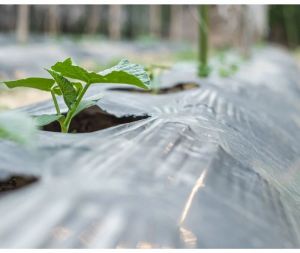 1200mm Plastic Mulching Sheets