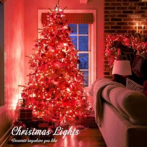 Red Solar String LED Lights