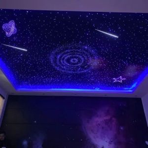 Fiber Optic Star Ceiling Lights