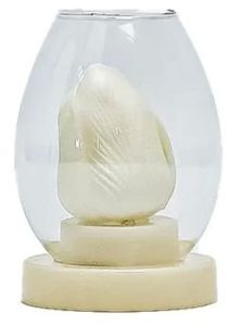 Tulip Flower LED Lamp