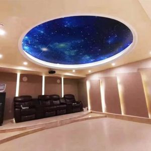 Fiber Optic Star Ceiling Lights