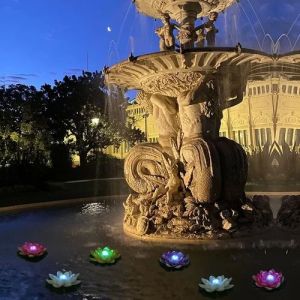 Floating Lotus LED Lights