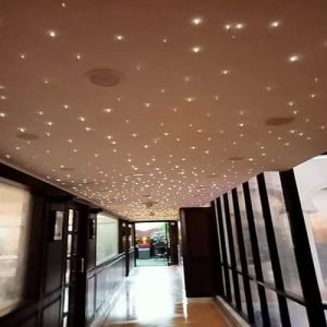 Fiber Optic Star Ceiling Lights