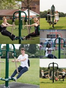 Outdoor Gym Single Twister