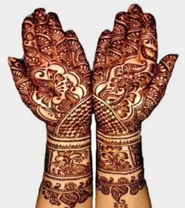 Body Art Quality Triple Filter Henna Powder