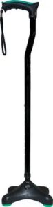 Quadra Walking Stick