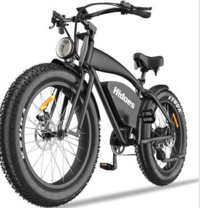 Electric Bicycles