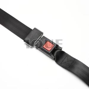 Ique Two Point Car Seat Belt