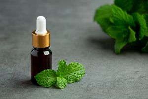 Basil Essential Oil