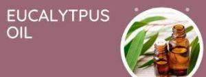 Eucalyptus Essential Oil