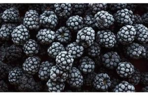 Frozen Imported Blackberry