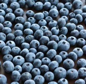 Frozen Imported Blueberry