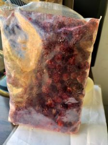 A Grade Imported Blackberry