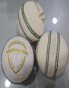 Red and White Leather Cricket Ball