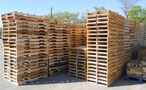 Premium Wooden Pallets