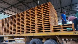 Two Way Wooden Pallets