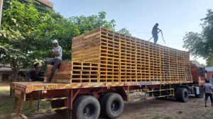 Premium Wooden Pallets