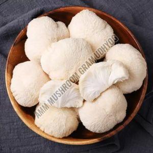 Fresh White Mushroom