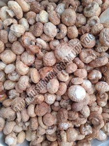 Sun Dried Agaricus Bisporus Button Mushroom