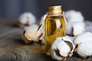 Refined Cottonseed Oil