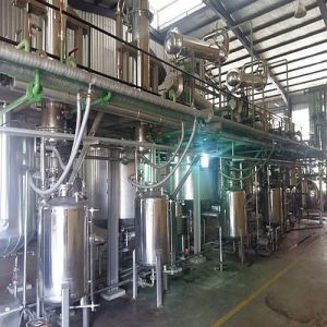 Ajwain Essential Oil Extraction Plant
