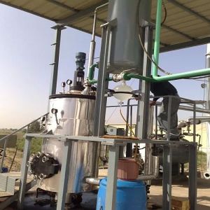 Allspice Berries Seeds & Berries Distillation Plant