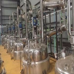 Amla Extraction Plant