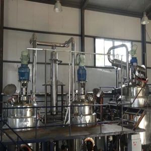 Avocado Color Extraction Plant