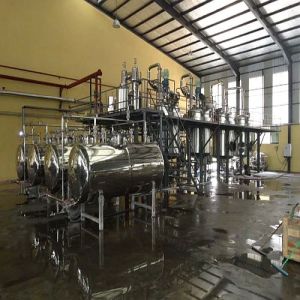 Bavachi Seed Extraction Plant