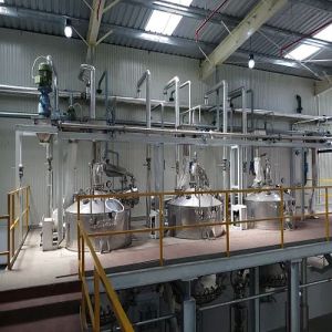 Peppermint Leaves Oil Distillation Plant