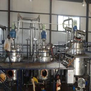 Pyridine (Nicotine) Alkaloids Extraction Plant