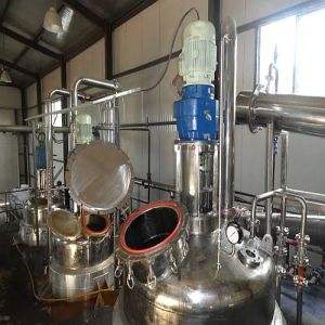 Vanilla Seeds & Berries Extraction Plant