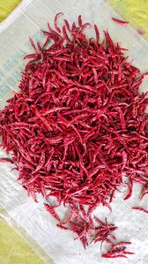 Dry Red Chilli
