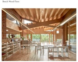 Junckers Beech Classic Hardwood Flooring
