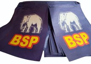 Election Promotional Paper Toran