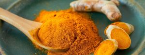 Turmeric Extract