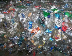 PET Bottle Scrap