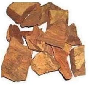 Arjun Bark