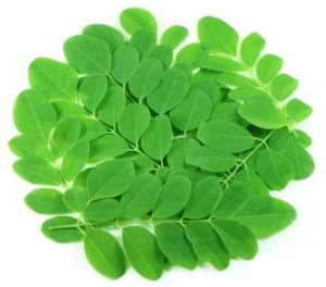 Dried Moringa Leaves
