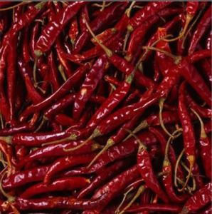 Dried Red Chilli